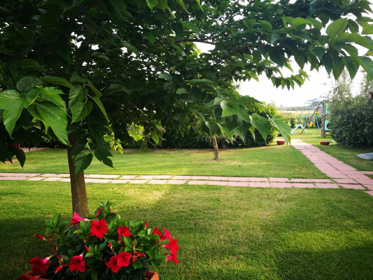 Agriturismo Alturetta รีโอตอร์โต ภายนอก รูปภาพ