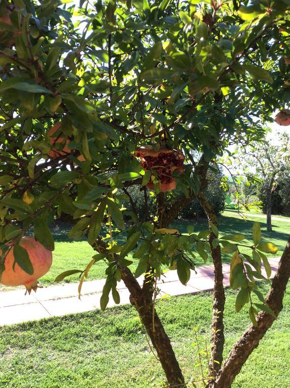 Agriturismo Alturetta รีโอตอร์โต ภายนอก รูปภาพ